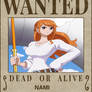 Nami's Wanted poster base