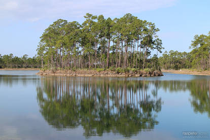 Aligator Island