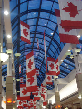 hanging flags