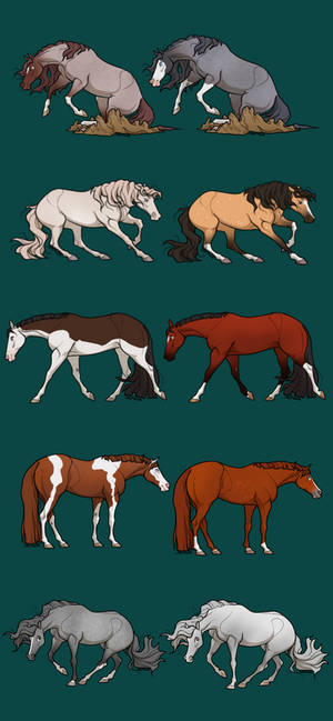 Lovely western pons open