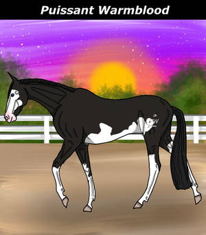 Puissant Warmblood advent day #9