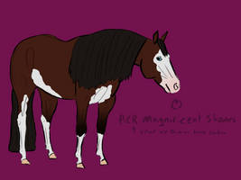 RCR Magnificent Shades