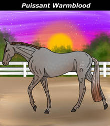 Puissant Warmblood custom design