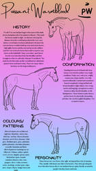 Puissant Warmblood breed sheet