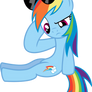 Dashie Not Sure