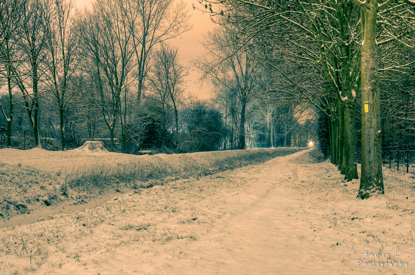 Snow path 2