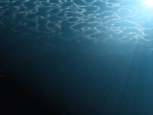 Moonlight Underwater - Stock