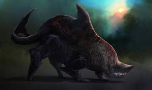 Sharkbear!