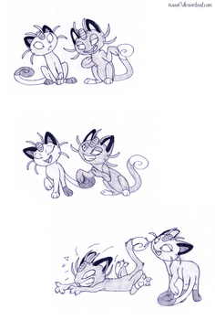 Meowth meows, gravity works.