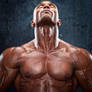 The Champion III