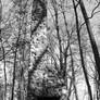 Lost Cabin