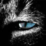 Cat Eye Scratch Board