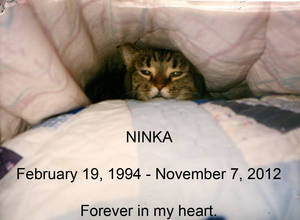 Rest in Peace, Ninka, my dear dear girl