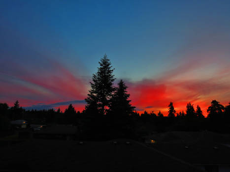 Rooftop Sunset