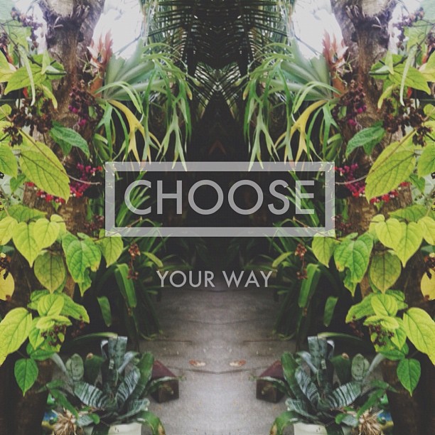 Choose your way.