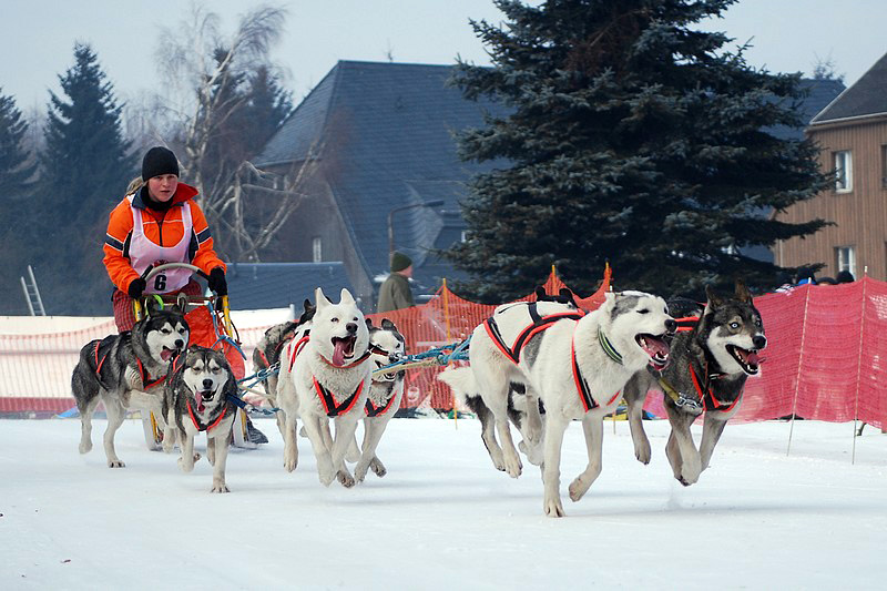 Seiffen 2011 I.