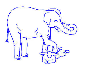 Elephant massage