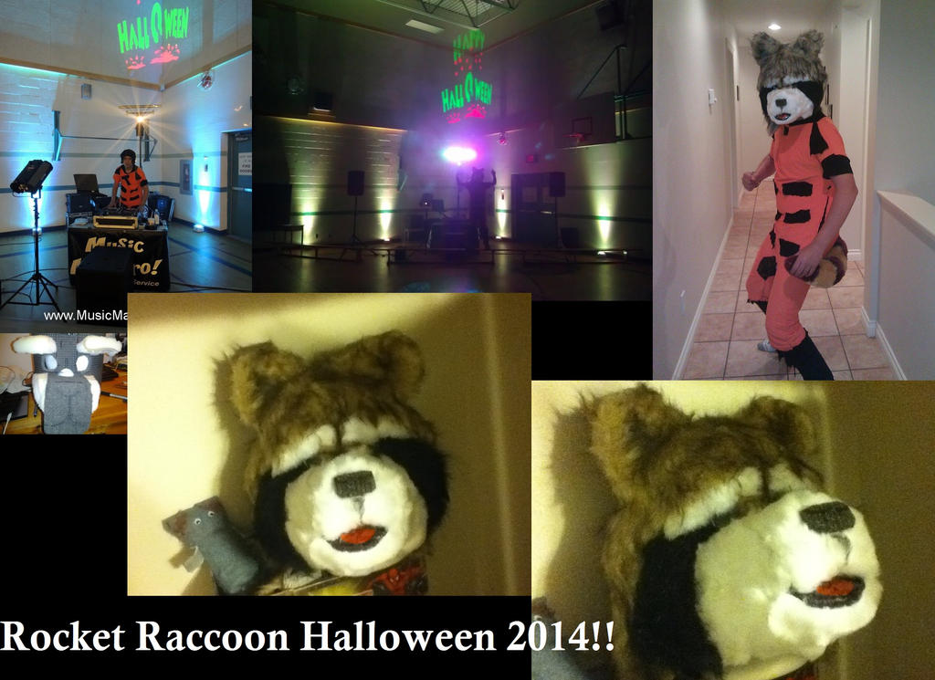 Rocket Raccoon Halloween 2014 All Photos Compiled