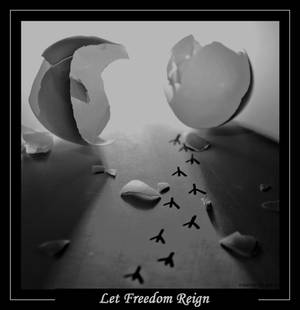 Let Freedom Reign by ExquisiteDistraction Let Freedom Reign by ExquisiteDistraction