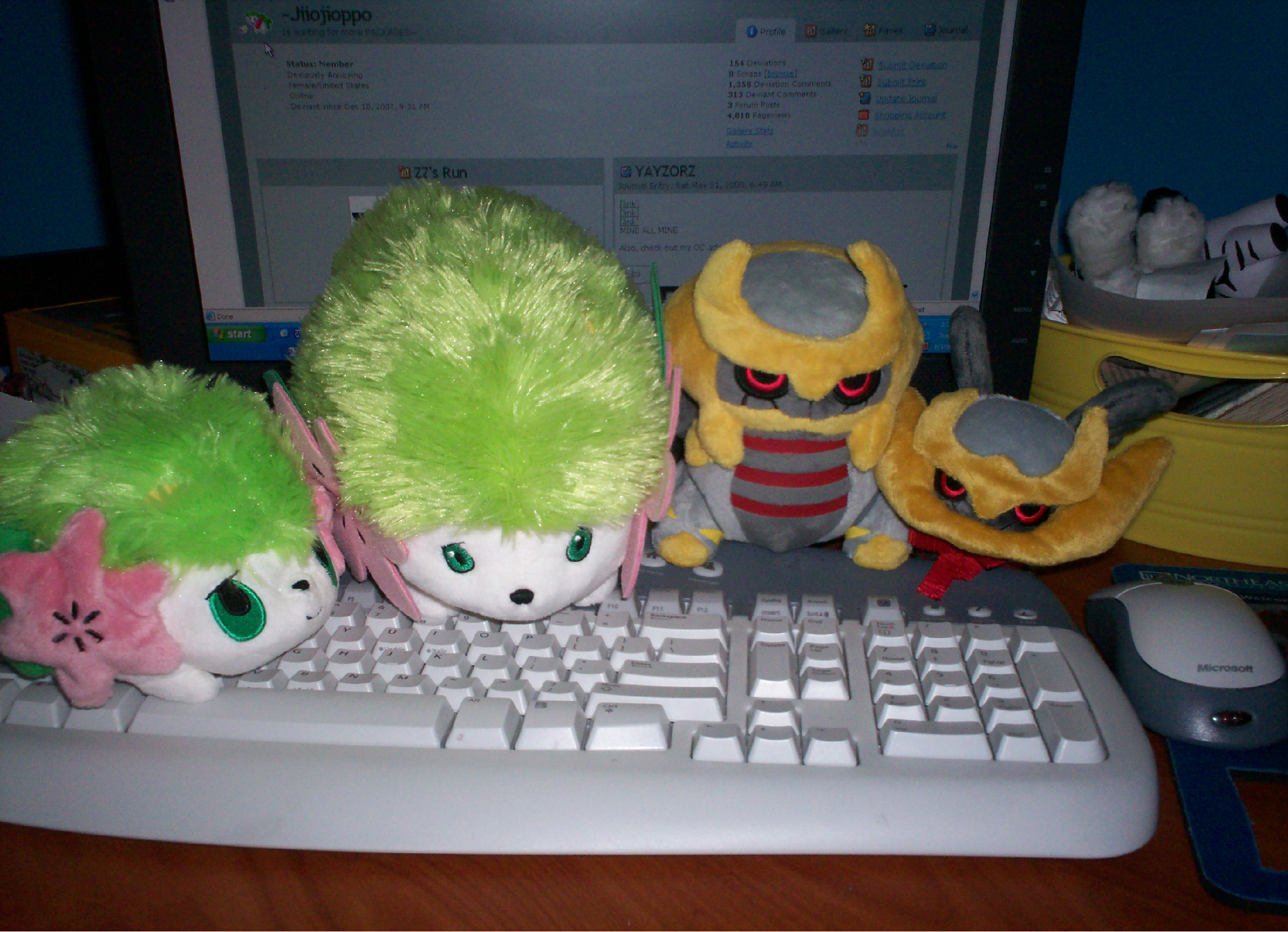 My New Plushies