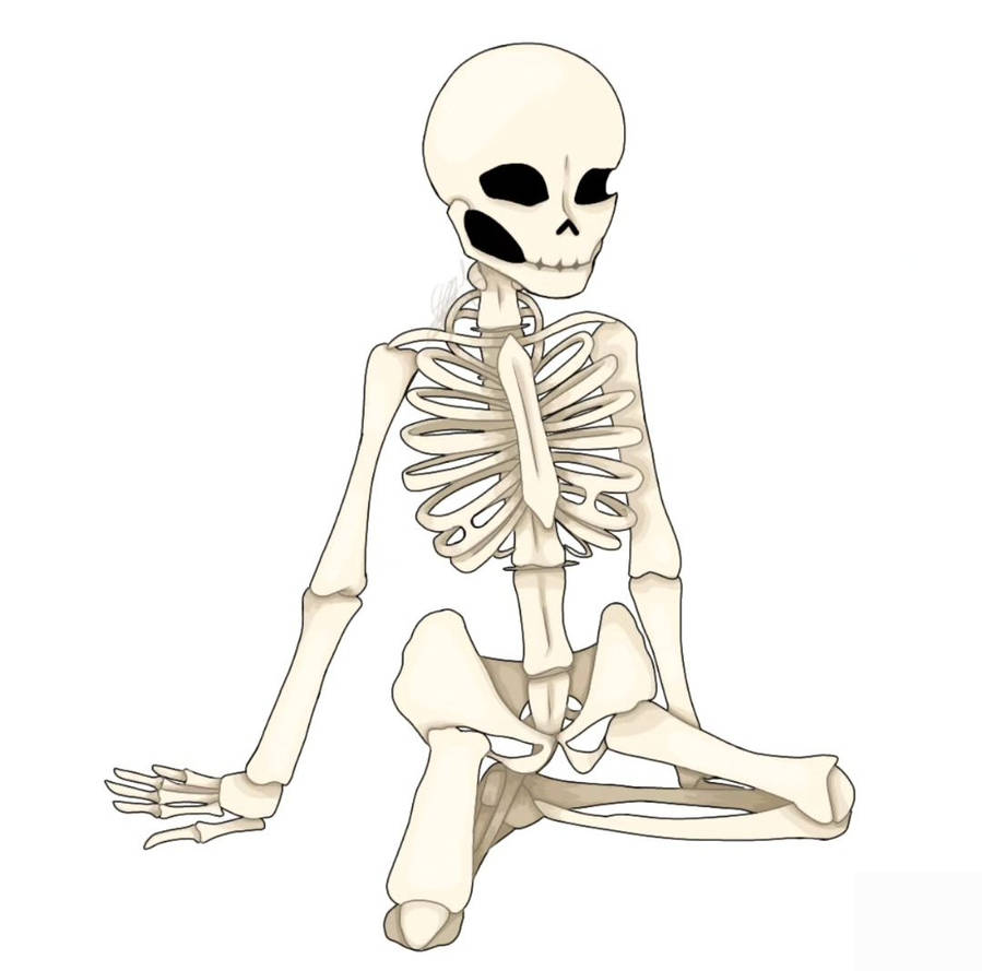 Skeleton by GabbezittoDiaz on DeviantArt