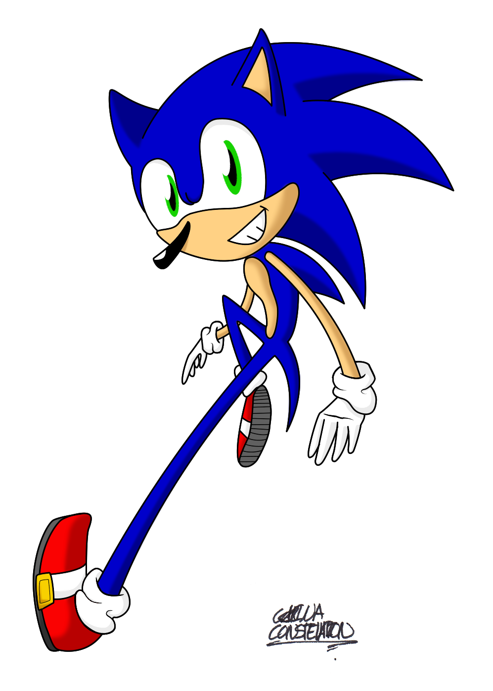 Sonic the hedgehog