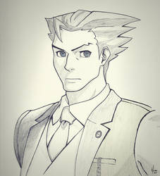 Phoenix Wright: Portrait