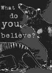 Thylacine:What Do You Believe? by BooYeh