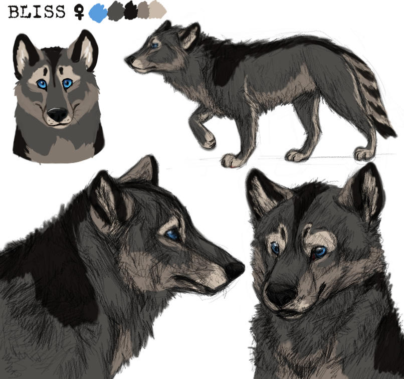 New Character Ref Sheet by BooYeh on DeviantArt