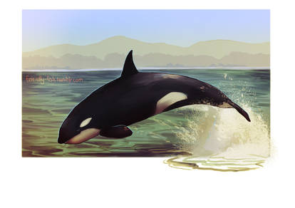 Orca