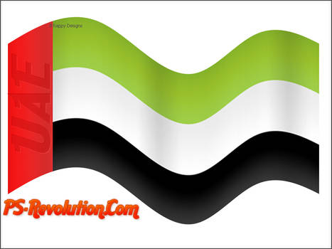 UAE 3D Flag