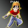 Pan