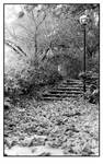 stairs by AnalogPhotographers