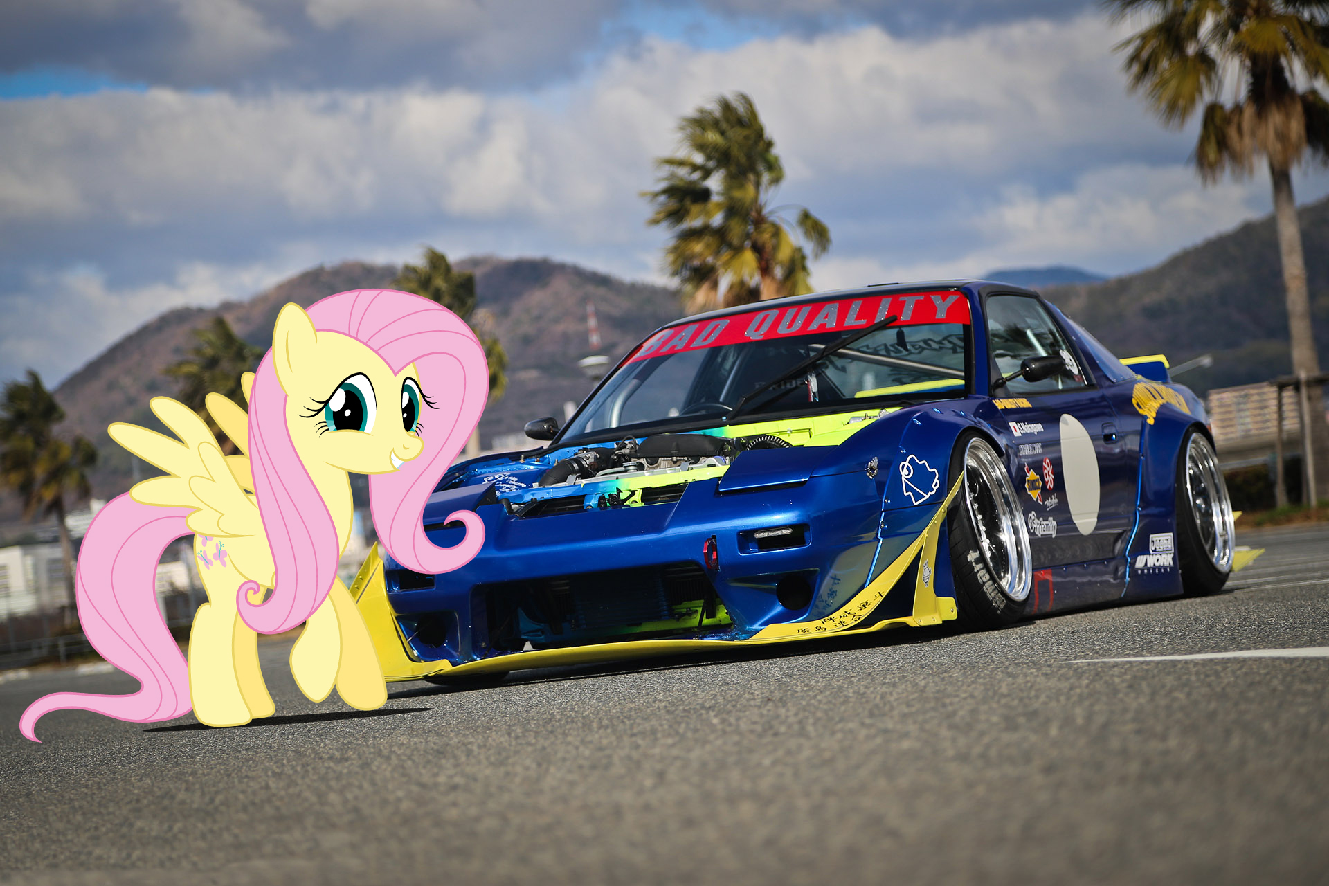 Fluttershy's Sunoco 180SX