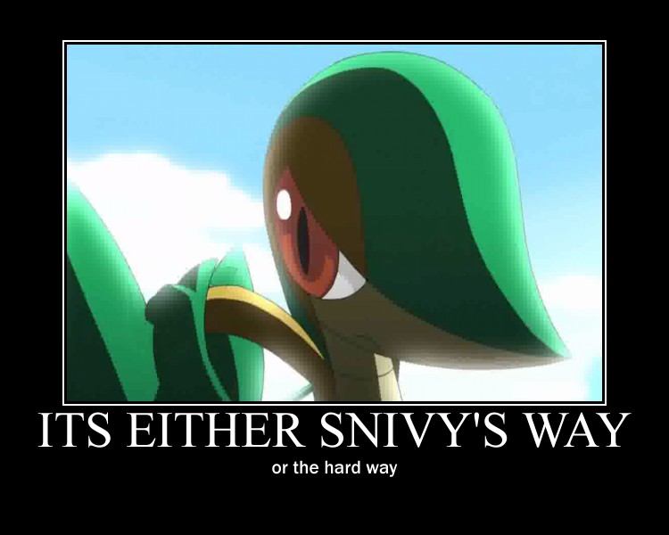 snivy motovational