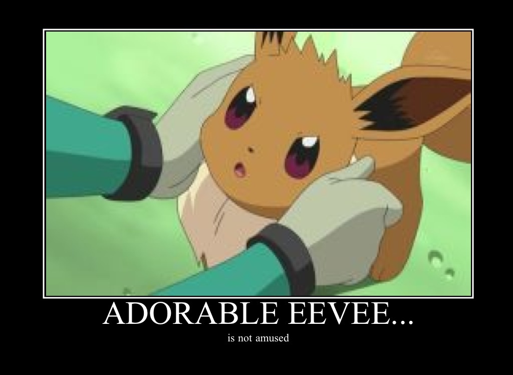 Eevee is not amused