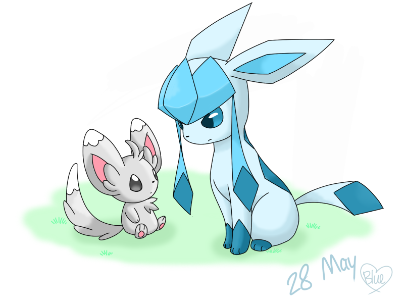 28 May- Minccino and Glaceon