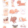 Many Cute Puppos