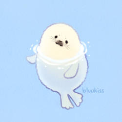 Floating Sea Pup