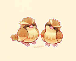 Pidgeys