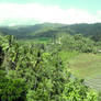 Kuta Rice Fields