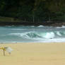 Stormy day at the beach