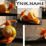 orange sea snail