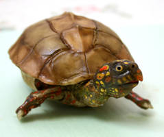 posable art doll - turtle!