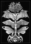 Grey Metal Wings by Anton-Constantin