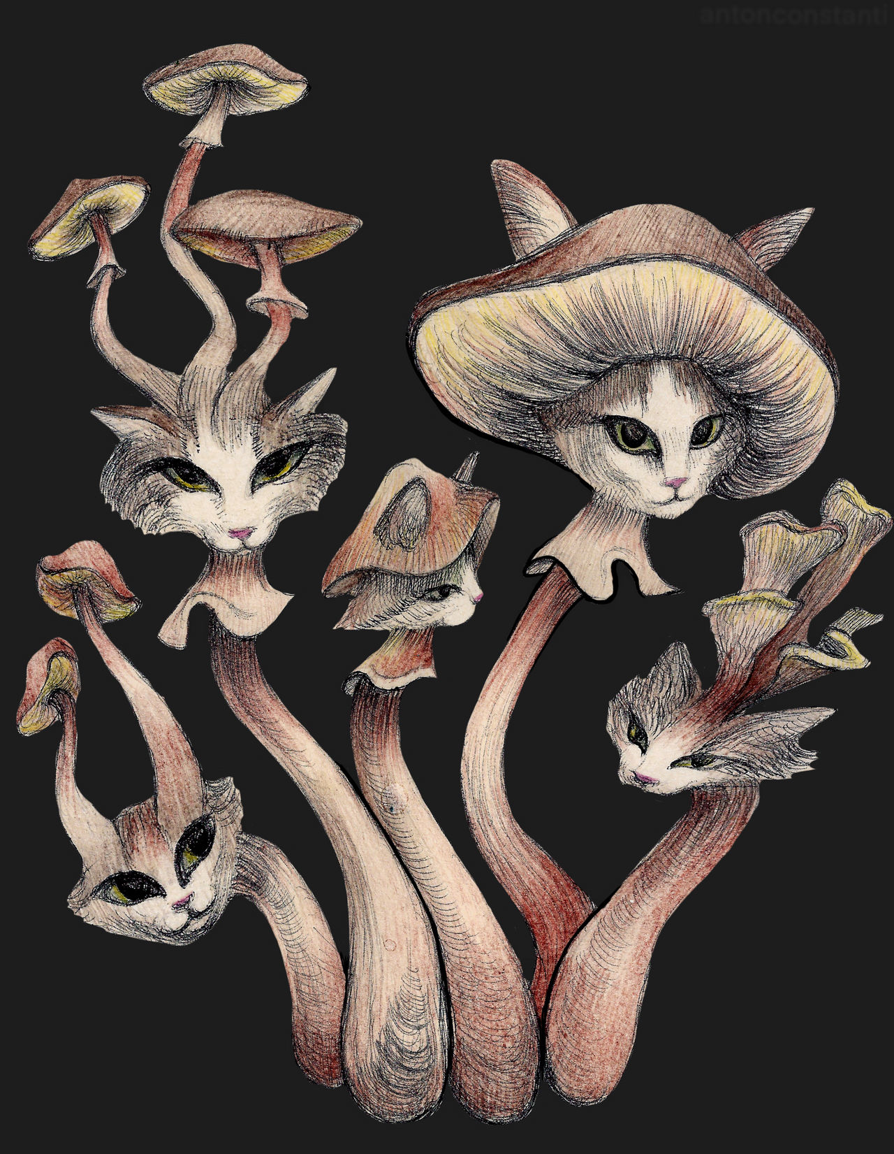 mushroom cats by AntonConstantin on DeviantArt
