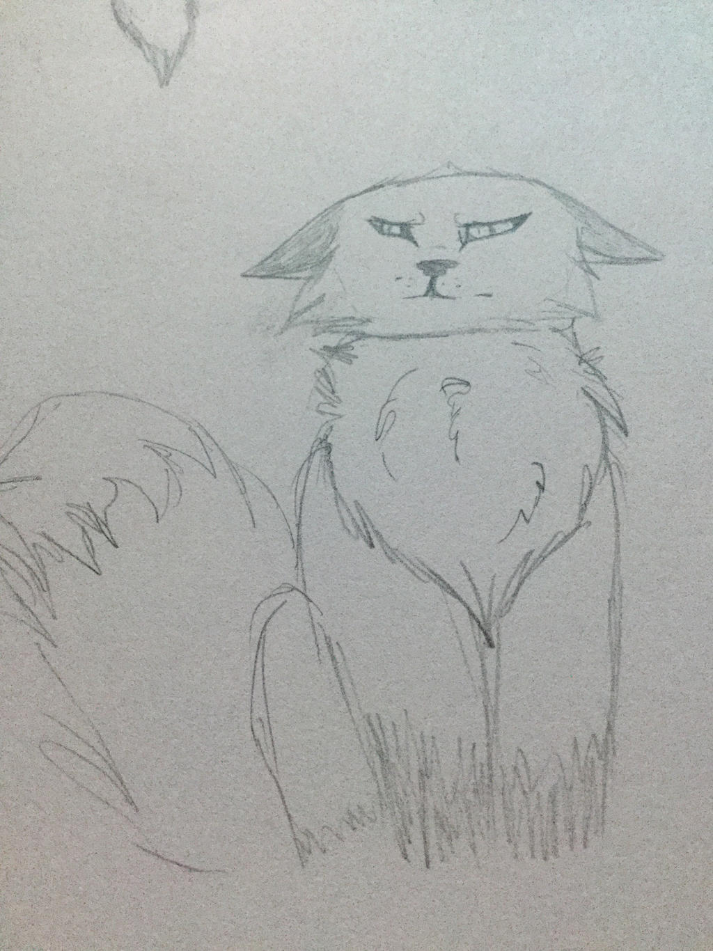 Grumpy fox by Llirenu on DeviantArt