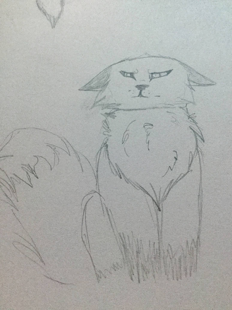 Grumpy fox by Llirenu on DeviantArt