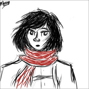 mikasa