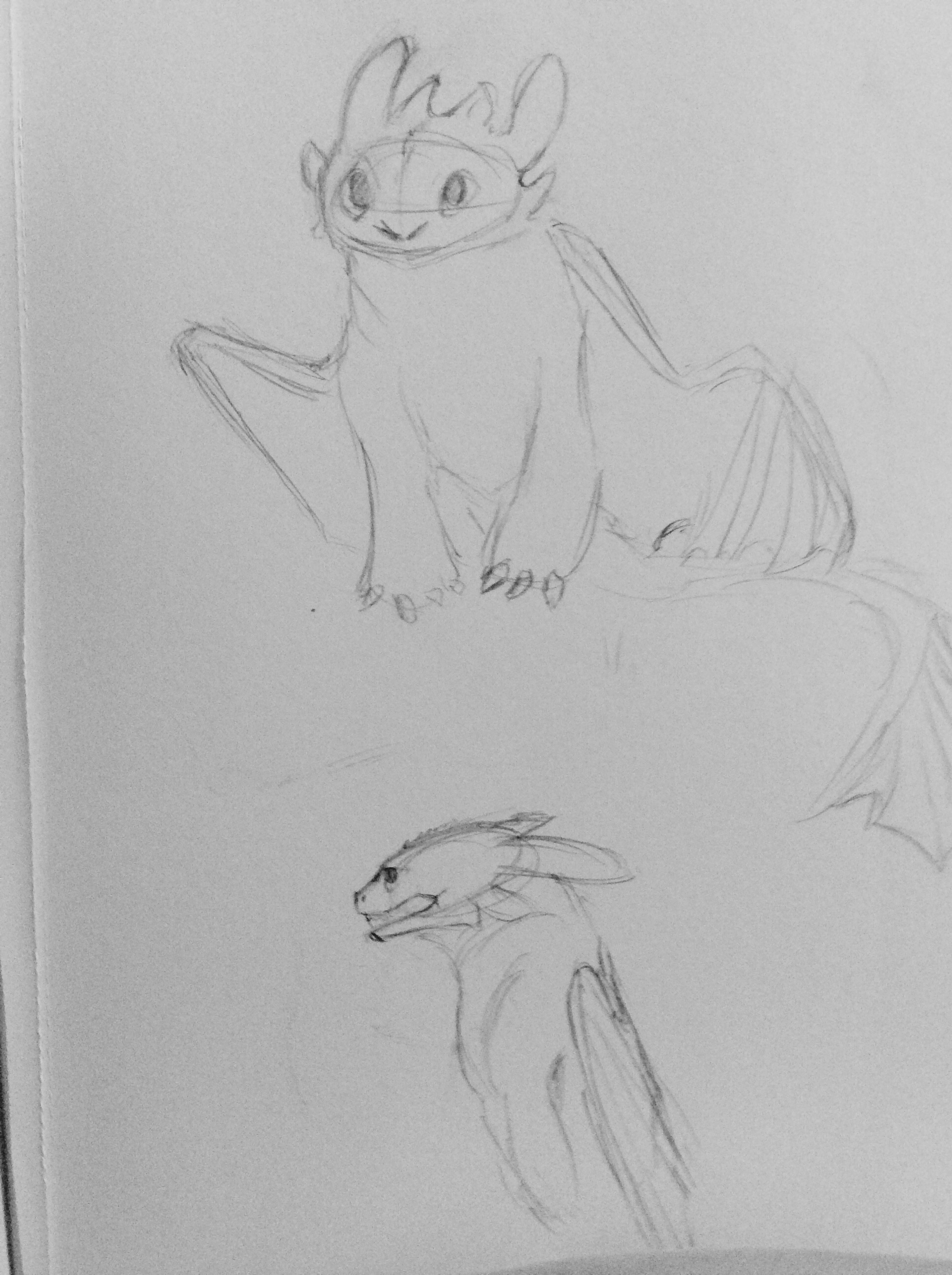 Toothless sketches by wolf-lion-dragon on DeviantArt